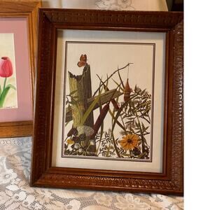 Butterfly Haven USA Litho Arthur A. Kaplan Co. by R.E. Christian- ORNATE frame